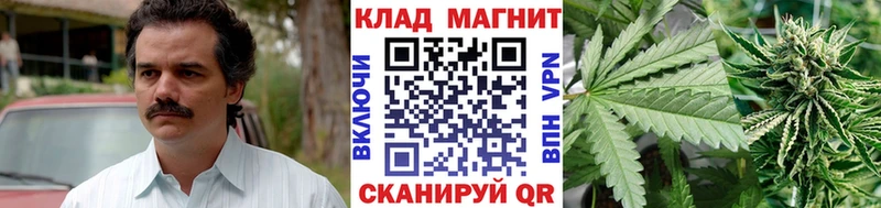 Виды наркоты Тамбов Галлюциногенные грибы  Меф  ГАШИШ  Конопля  А ПВП 