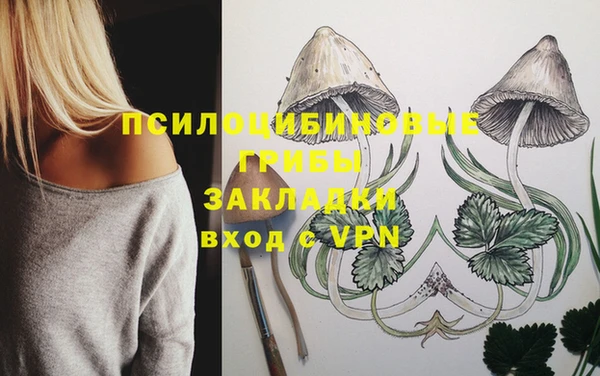 COCAINE Алзамай