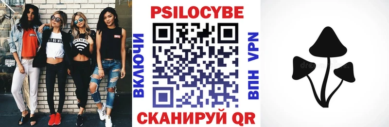 Галлюциногенные грибы GOLDEN TEACHER  MEGA рабочий сайт  Тамбов 